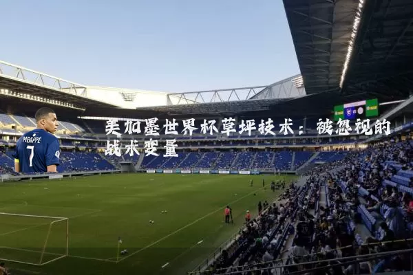 美加墨世界杯草坪技术：被忽视的战术变量