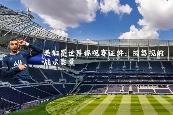 美加墨世界杯观赛证件：被忽视的战术变量