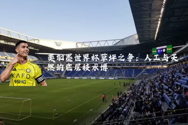 美加墨世界杯草坪之争：人工与天然的底层技术博弈